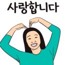 무아몽 해운대 강아지 애견미용 이미지