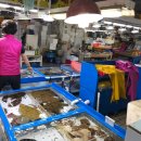 다대씨-파크 이미지