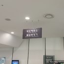 창우식당 | 마곡맛집 창우마곡본점에서 든든한 점심 후, 서울식물원 나들이 코스 완벽 후기