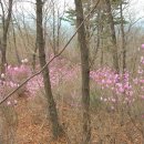 팔야1리 마을회관 이미지