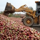 동관농장 이미지