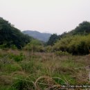 창원 봉림사지 이미지