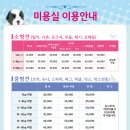 미로애견센터 이미지