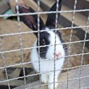 씨엘블루펜션 이미지