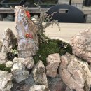 내 집의 분경 이미지