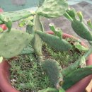 은비네농장 이미지