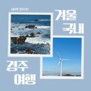 감포읍발전협의회(감포바다) | 경주 겨울 여행 | 감포 해국길 감포공설시장 감포항 송대말등대 빛체험전시관 경주 풍력발전소(바람의...
