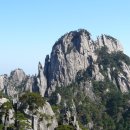 황산카정비 Daum카페