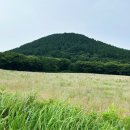 봉성농장 | 제주도 천아오름 아름다운 계곡 광령천 트래킹