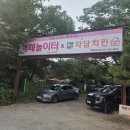펫아울렛수영 | 남양주 강아지 놀이터 개떼놀이터 후기｜서울근교 애견카페, 강아지 수영장, 애견동반식당까지 한 번에