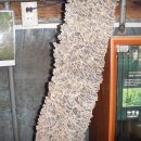 삼생1리 이미지