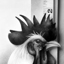 연필세밀화 이미지