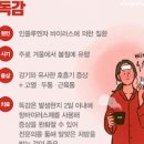 신종플루 A형독감 증세 낫는법약 이미지