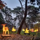 도혜원민박 이미지