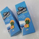 블루하와이 이미지