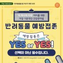 고려동물병원 이미지