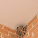 한솔민박 이미지