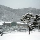 여주-0474 Daum카페