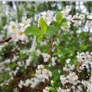 지금이순간 이미지