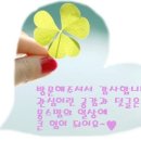 이원손짜장 이미지