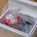 진선미토굴새우젓 | 내돈내산 / 진선미 토굴 새우젓 /오젓/ 새우젓 양념장