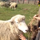 (주) 피싱파크 진산각 이미지