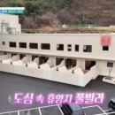 넘버25구미인동점 이미지