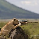 머먹을래 이미지