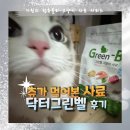 그린벨식품 | 닥터그린벨 고양이 사료 후기｜고양이 설사·변비·사료토 고민에 급여해본 솔직 기록