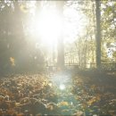 Autumn Leaves_ Eva Cassidy 이미지