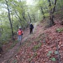 영남알프스 둘레길 이미지