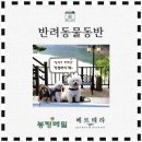 봉평푸드 | 출렁다리 뷰와 함께 즐기는 점심! 봉평메밀 솔직 후기 🥢✨