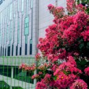 초원세탁소 이미지