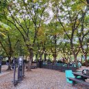 보라매공원 이미지