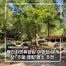 41190-01-07-336 | 용인자연휴양림 야영장 재개장! 주말 캠핑 명소 추천