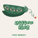 완두콩스테이 이미지