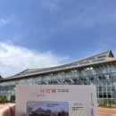 화성 우리꽃식물원 방문후기｜알리움과 데이지가 가득한 초여름 산책 명소