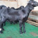 이천제이농장 이미지