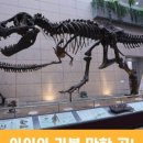 지질박물관 네이버블로그