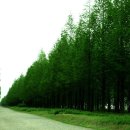 초록공원 이미지