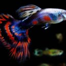 기린면 종합복지회관 이미지