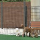 명서2주민운동장 축구장 | 남양주 평내호평동 야외 반려견 놀이터 강아지 운동장 개장