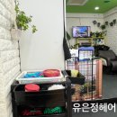 유은정헤어 | 유은정헤어 : 가락동가성비미용실
