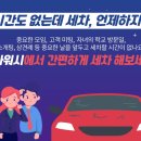 세차킹 이미지