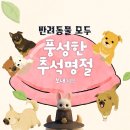 커비동물병원 이미지