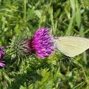 성당초등학교 이미지