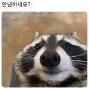 광화문수제비 - 종로구 종로 34 | 광화문수제비