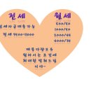 수원에이스공인중개사사무소 이미지