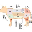 참맛있는 참한우 이미지