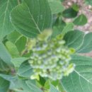 라원농장 이미지